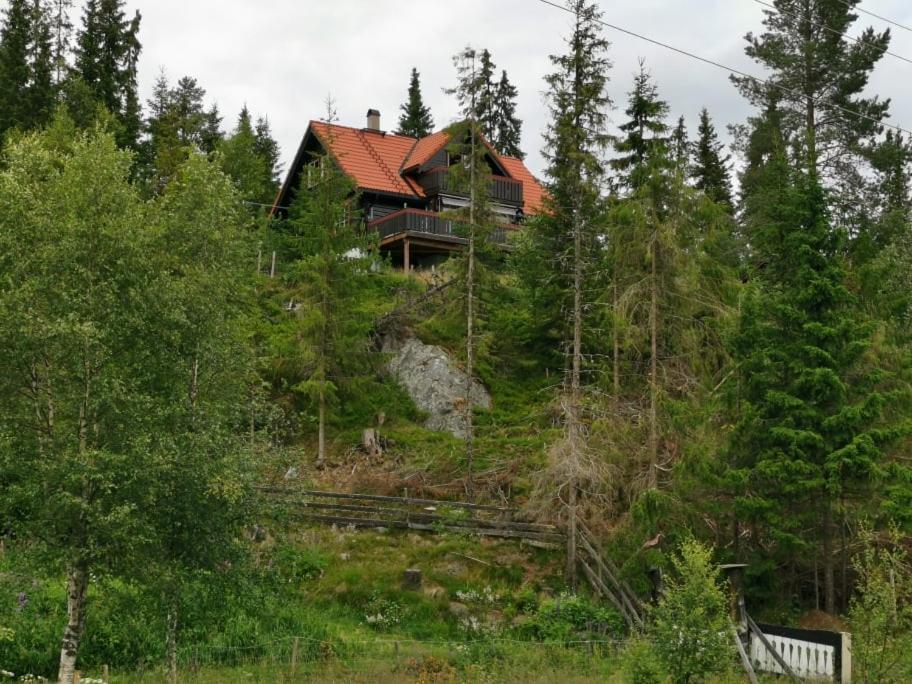 Casa San Gottardo - The Forest House, Etnedal Luaran gambar